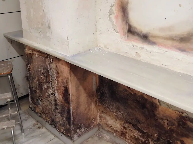 Mursec ECO 1 Llança Abans